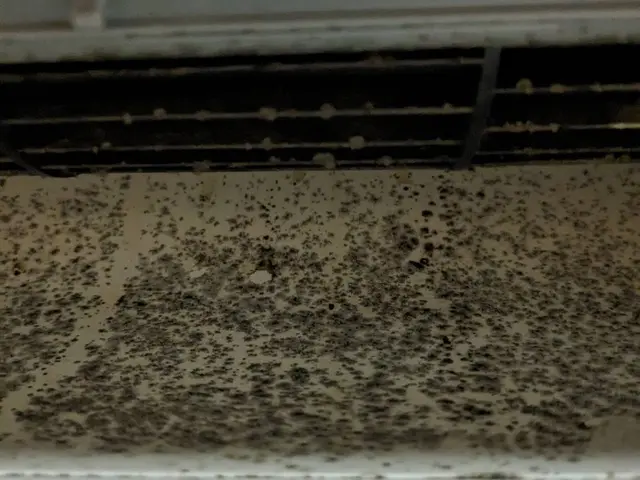 11月キャンペーン◎抗菌無料◎夫婦二人で伺います◎赤ちゃんペットも安心のエコ洗剤サービスの画像