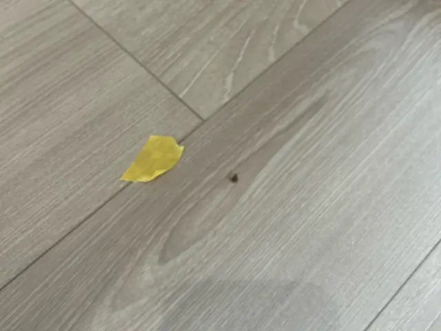 即返信・丁寧説明で安心！店長訪問◎富田林市発！サービスの画像