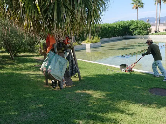 機械による草刈り作業サービスの画像