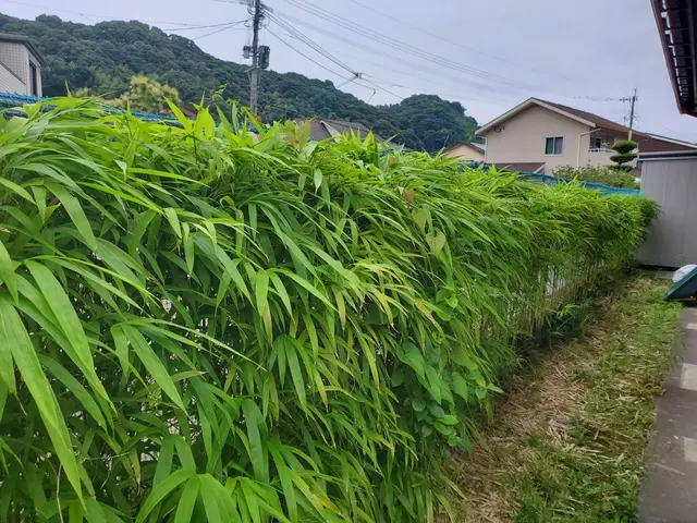 伸びすぎて手入れができない。手入れする人がいない。そんな方はうちにお任せ下さい！サービスの画像