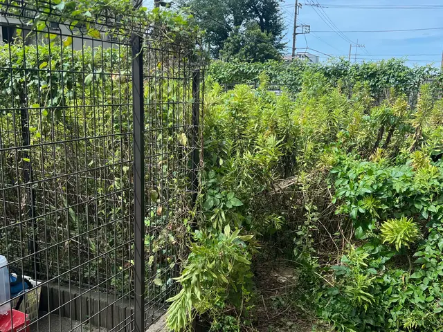 ご相談やご質問だけでも全然良いですよ！　ご相談やご質問だけなら０円ですからね！サービスの画像