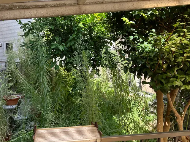 ご相談やご質問だけでも全然良いですよ！　ご相談やご質問だけなら０円ですからね！サービスの画像