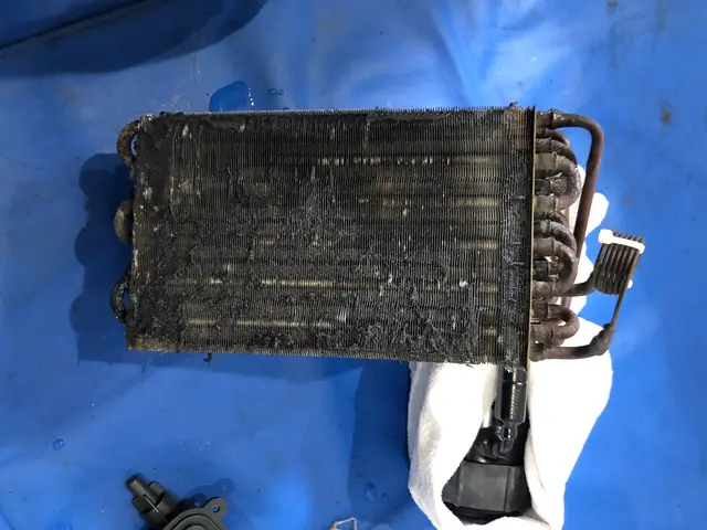 乾燥不良、ゴミの付着、洗濯物の臭いの解消は当店まで！ドラム式洗濯機クリーニング！サービスの画像