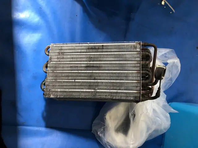 乾燥不良、ゴミの付着、洗濯物の臭いの解消は当店まで！ドラム式洗濯機クリーニング！サービスの画像