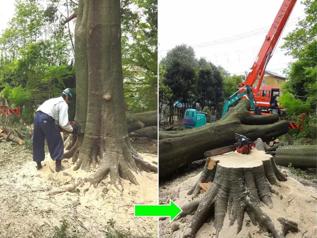 ★樹木の悩みお任せ下さい。１級造園技能士がご要望にお応えします！サービスの画像