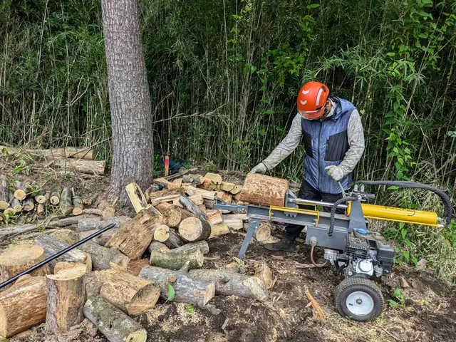 ★樹木の悩みお任せ下さい。１級造園技能士がご要望にお応えします！サービスの画像