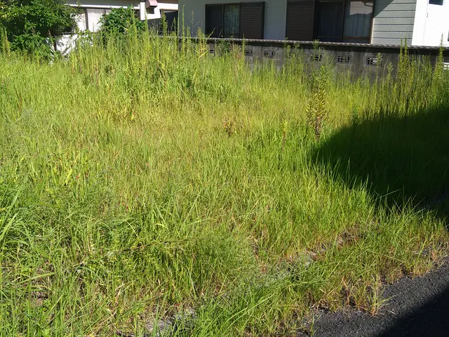 庭の魅力を最大限に引き出す専門家、仕上がり重視で丁寧に作業いたします！サービスの画像