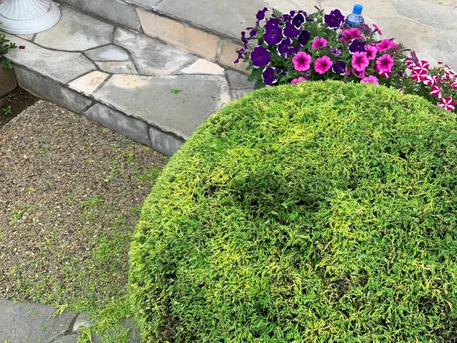 ◆千葉市発◆お立ち会い不用！サービスの画像