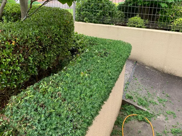 ◆千葉市発◆お立ち会い不用！サービスの画像