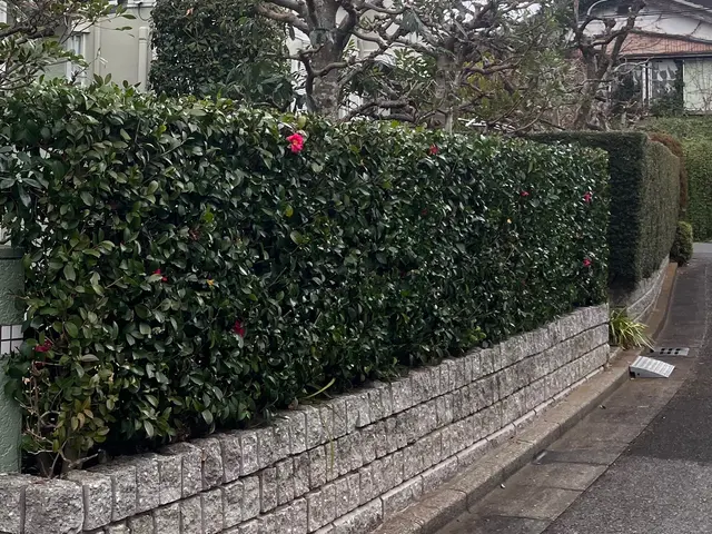 ◆千葉市発◆お立ち会い不用！サービスの画像