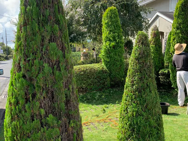 ◆千葉市発◆お立ち会い不用！サービスの画像