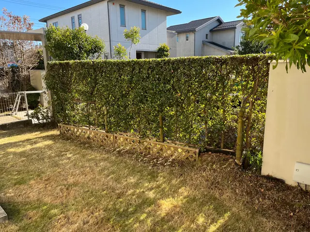 ◆千葉市発◆お立ち会い不用！サービスの画像