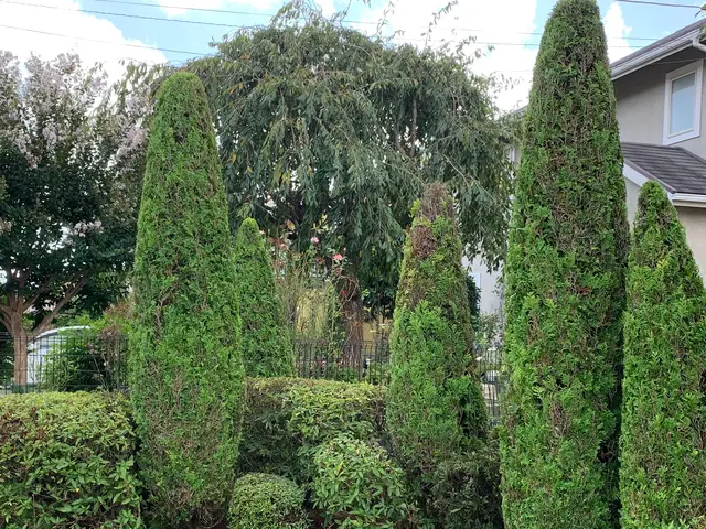 ◆千葉市発◆お立ち会い不用！サービスの画像