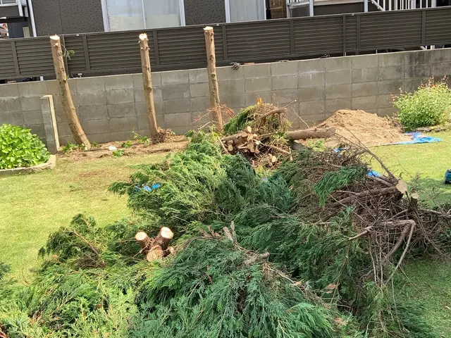 伐採、抜根サービスの画像