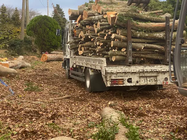 伐採、竹林伐採、森林伐採、枝打ち、　草むしり、草刈り、砕石敷き。サービスの画像