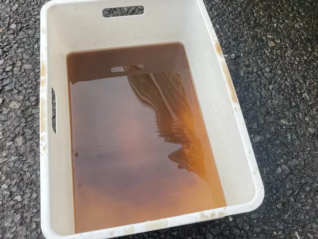 スプレーじゃない！車&バイクが大好きなエアコン屋が専用機材で施工！某サイト関東1サービスの画像