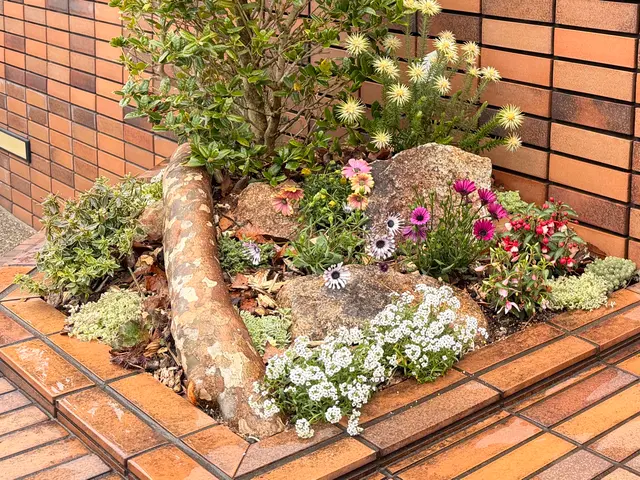 可愛いきゅんっとする花壇や寄せ植えを得意としておりますので、ぜひお試しくださいサービスの画像