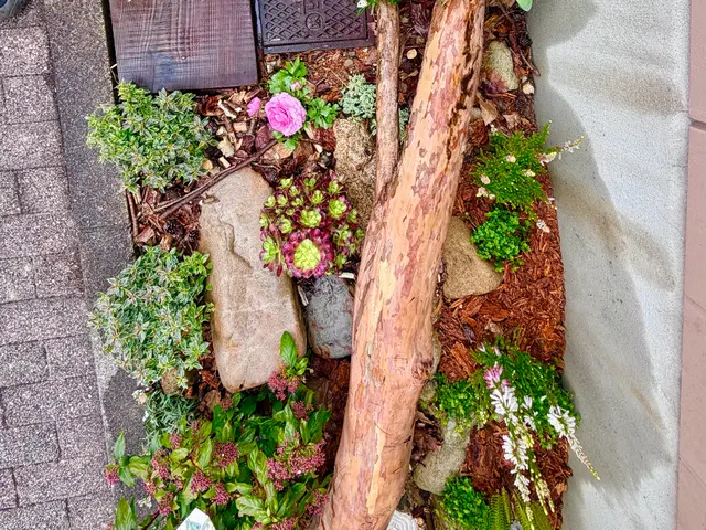 可愛いきゅんっとする花壇や寄せ植えを得意としておりますので、ぜひお試しくださいサービスの画像