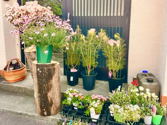 可愛いきゅんっとする花壇や寄せ植えを得意としておりますので、ぜひお試しくださいサービスの画像