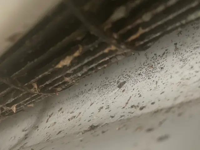 ◆有資格者が丁寧に対応します★消臭抗菌コートサービス！安心の外注ナシ！サービスの画像