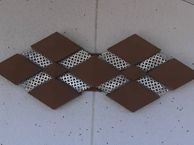 【完全害獣駆除専門】【再発率0%継続中、確かな技術】【ご自宅の調査見積もり無料】サービスの画像