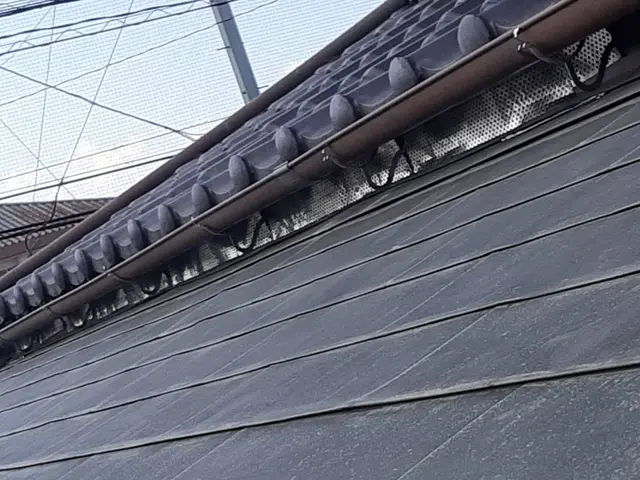 【完全害獣駆除専門】【再発率0%継続中、確かな技術】【ご自宅の調査見積もり無料】サービスの画像