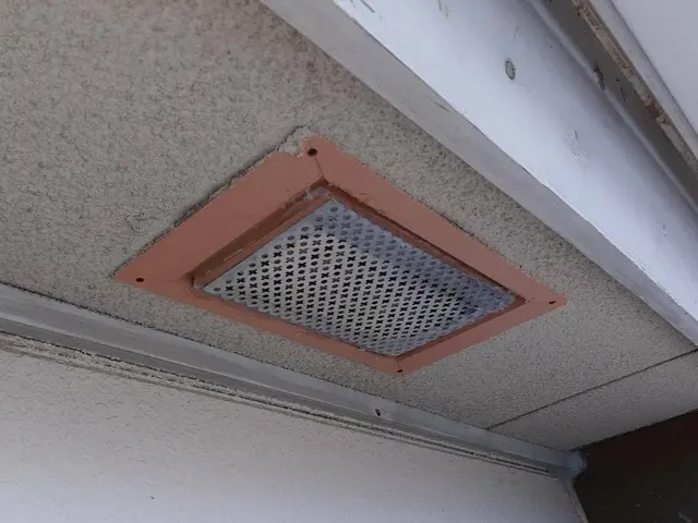 【完全害獣駆除専門】【再発率0%継続中、確かな技術】【ご自宅の調査見積もり無料】サービスの画像