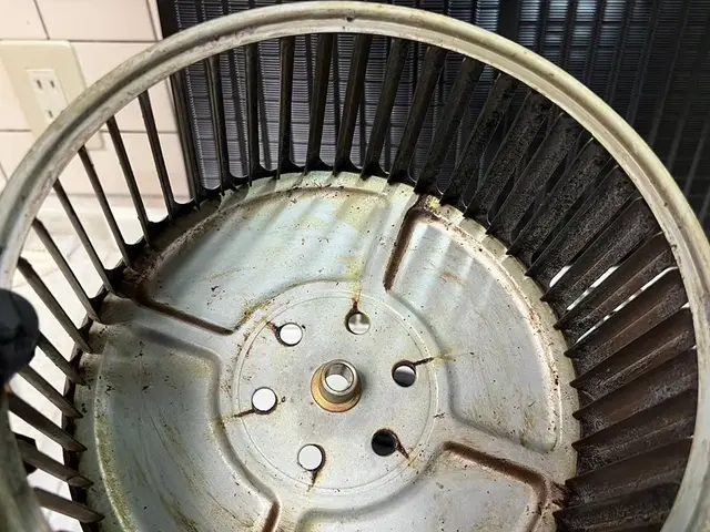 年末の大掃除をプロの手でピカピカに☆12月は予約がなかなか取れないのでお早めに♪サービスの画像