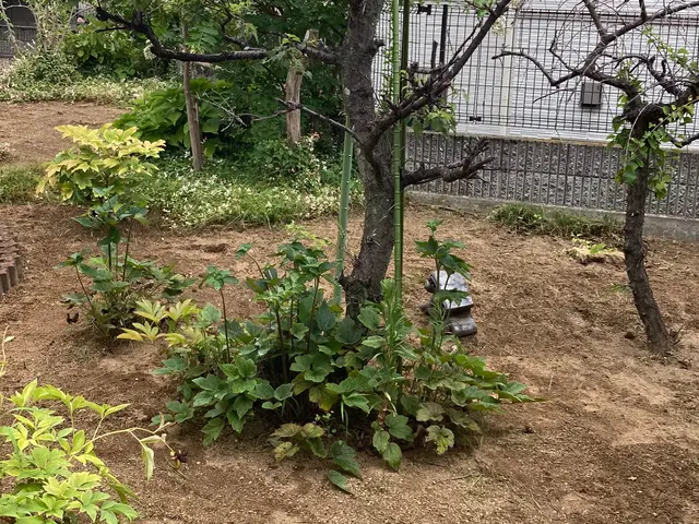 ◆年中無休！土日祝もご予約大歓迎◆営業時間外も対応可能◆お任せください！サービスの画像