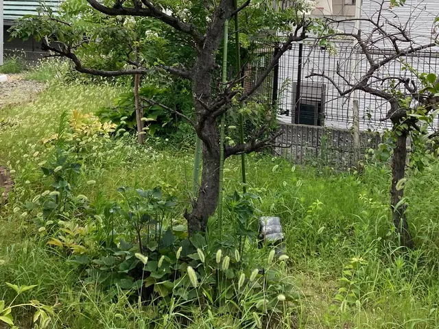 ◆年中無休！土日祝もご予約大歓迎◆営業時間外も対応可能◆お任せください！サービスの画像