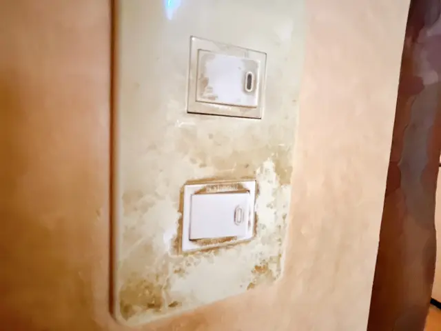 【諦めていた汚れもスッキリ！】プロの技術で、見違えるほどの美しさに♪サービスの画像