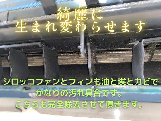 【オゾン滅菌】特別価格!￥9800⇒￥8000⇒お纏め最安7200円 匂戻りなしサービスの画像