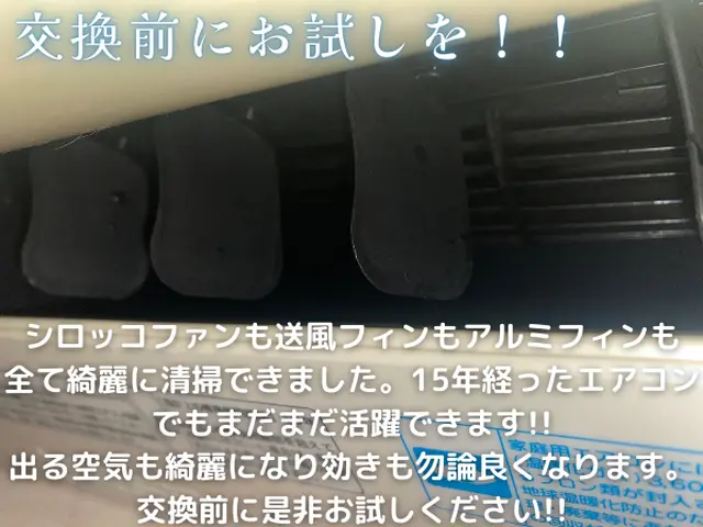 【オゾン滅菌】特別価格!￥9800⇒￥8000⇒お纏め最安7200円 匂戻りなしサービスの画像