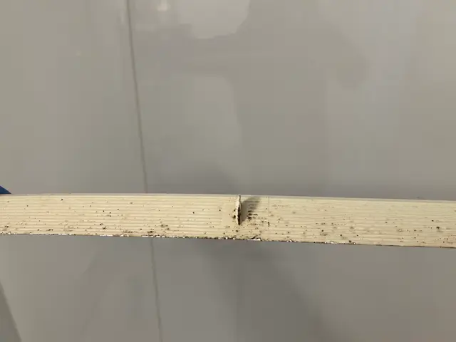 【エコ洗剤でお子様やペットも安心】価格以上の感動サービスをお届けいたします！サービスの画像