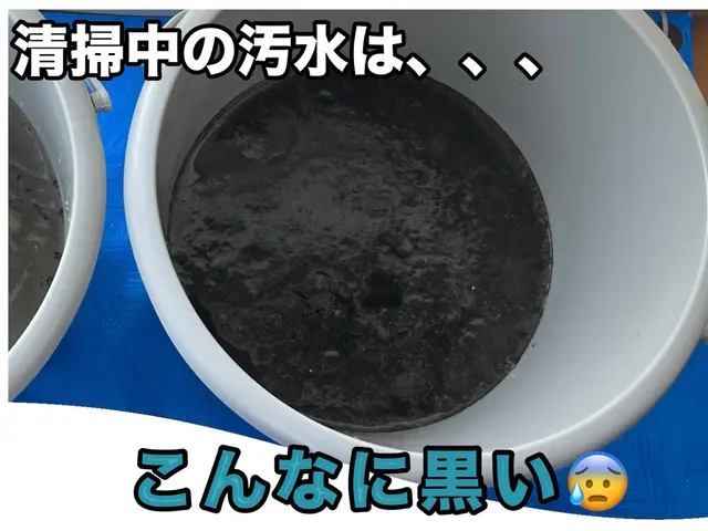 【エコ洗剤でお子様やペットも安心】価格以上の感動サービスをお届けいたします！サービスの画像