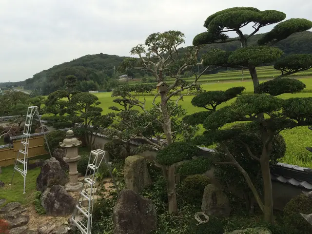 ★職人歴20年の経験と実績★庭木の剪定は国認定の1級造園技能士にお任せ下さい！！サービスの画像