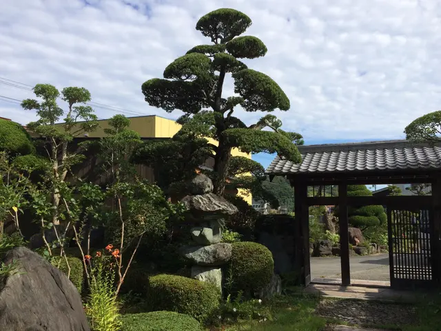 ★職人歴20年の経験と実績★庭木の剪定は国認定の1級造園技能士にお任せ下さい！！サービスの画像