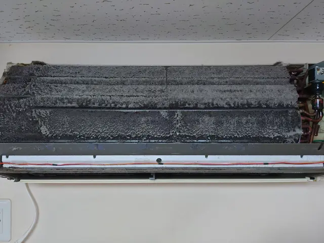 お掃除付きはおまかせ！業界歴15年以上賠償責任保険加入インボイス登録店サービスの画像