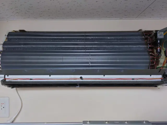 お掃除付きはおまかせ！業界歴15年以上賠償責任保険加入インボイス登録店サービスの画像