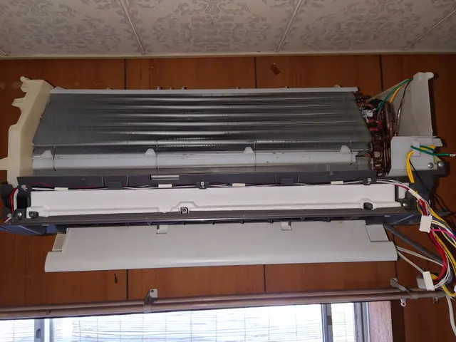 お掃除付きはおまかせ！業界歴15年以上賠償責任保険加入インボイス登録店サービスの画像