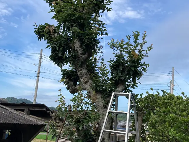 ◆年中無休！土日祝もご予約大歓迎◆営業時間外も対応可能◆お任せください！サービスの画像