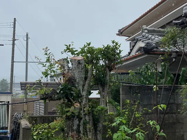 ◆年中無休！土日祝もご予約大歓迎◆営業時間外も対応可能◆お任せください！サービスの画像