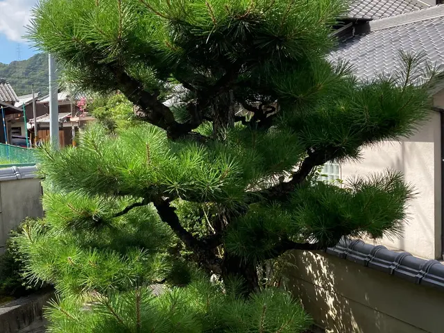 ◆年中無休！土日祝もご予約大歓迎◆営業時間外も対応可能◆お任せください！サービスの画像