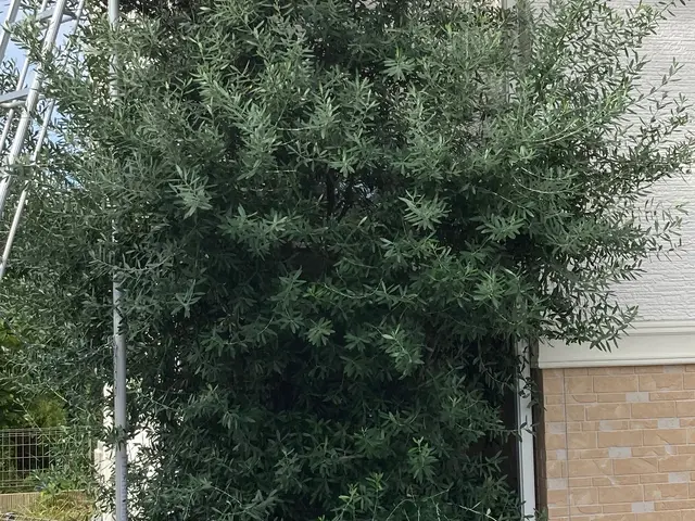 ◆年中無休！土日祝もご予約大歓迎◆営業時間外も対応可能◆お任せください！サービスの画像