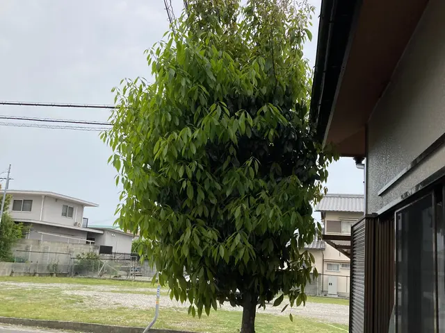 ◆年中無休！土日祝もご予約大歓迎◆営業時間外も対応可能◆お任せください！サービスの画像