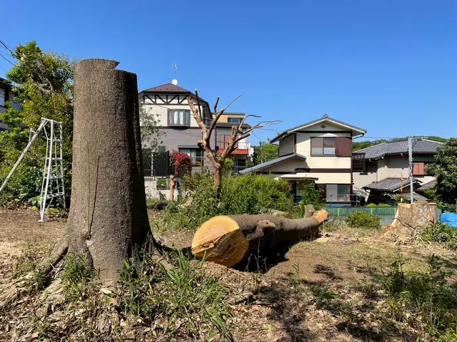 ＜造園業歴19年＞店長訪問◎場所・種類問わず対応可☆　伐採おまかせください◎サービスの画像