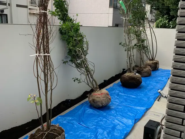 《庭師》信頼と実績の10年！あなたの庭を美しく整えるプロフェッショナルサービス◎サービスの画像