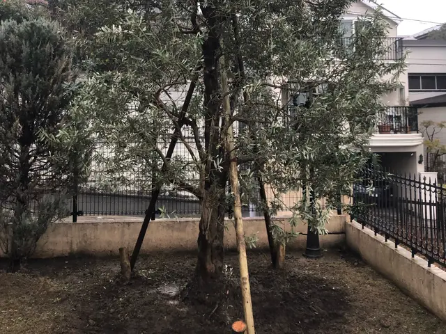 《庭師》信頼と実績の10年！あなたの庭を美しく整えるプロフェッショナルサービス◎サービスの画像