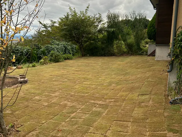 《業界14年！年中無休でご対応◎》地域に根ざしたサービス提供を目指しています！サービスの画像