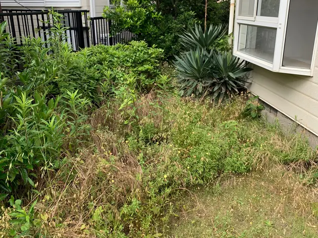 草刈り　除草　薬剤散布サービスの画像